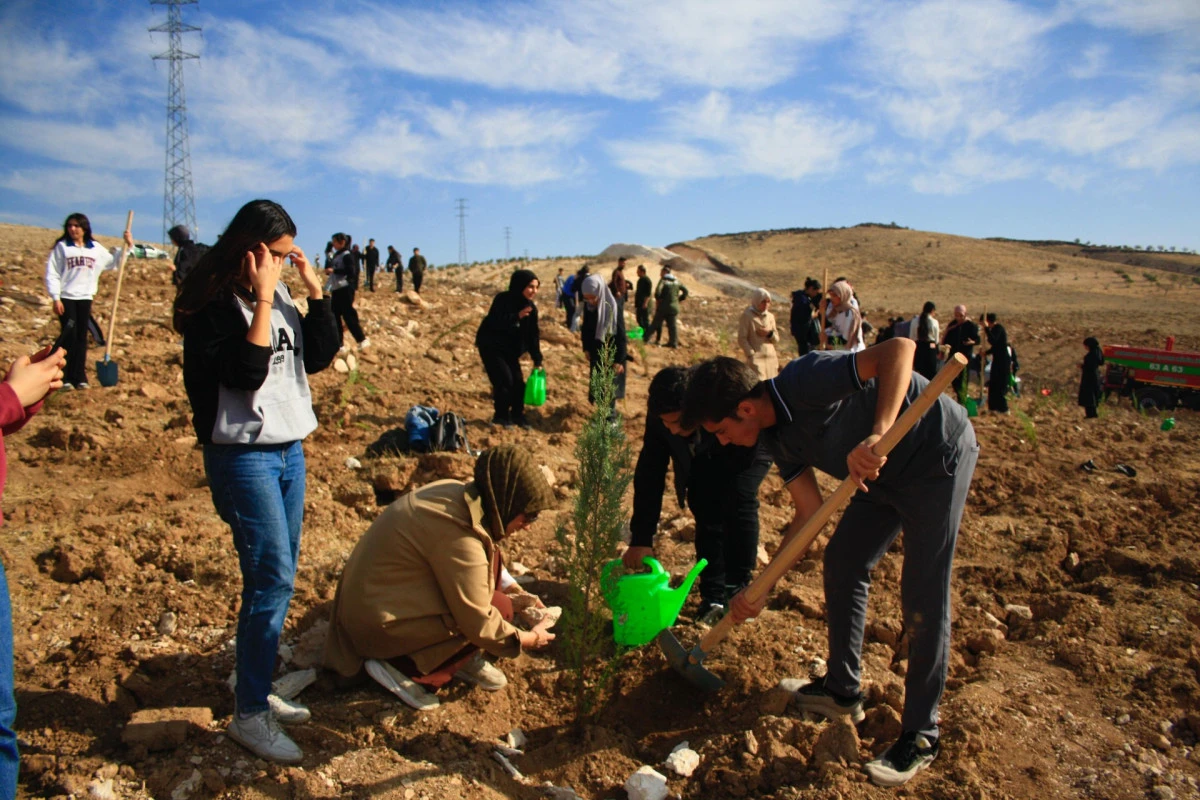 500 FİDAN TOPRAKLA BULUŞTU