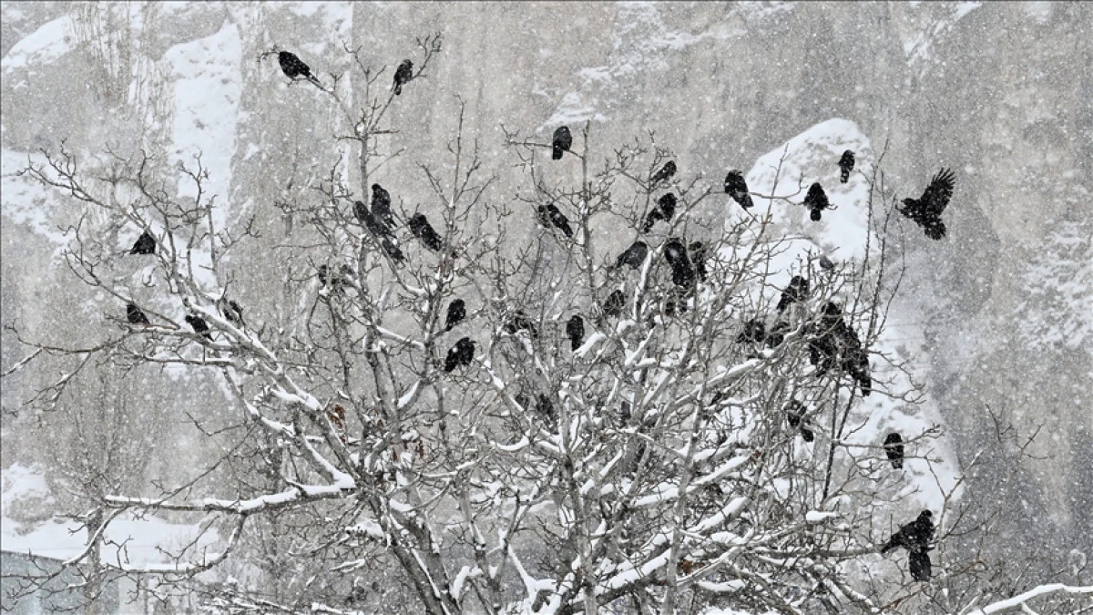 Aralık'ta en d&uuml;ş&uuml;k sıcaklık Van'da en y&uuml;ksek sıcaklık Hatay'da &ouml;l&ccedil;&uuml;ld&uuml;