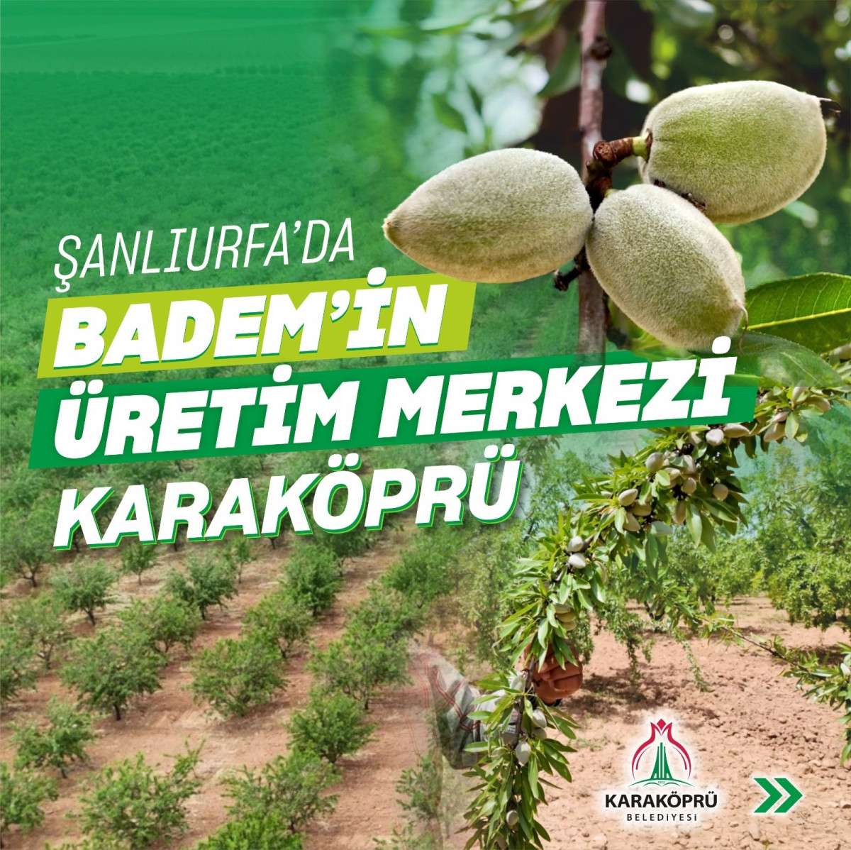  BADEMİN ÜRETİM MERKEZİ KARAKÖPRÜ