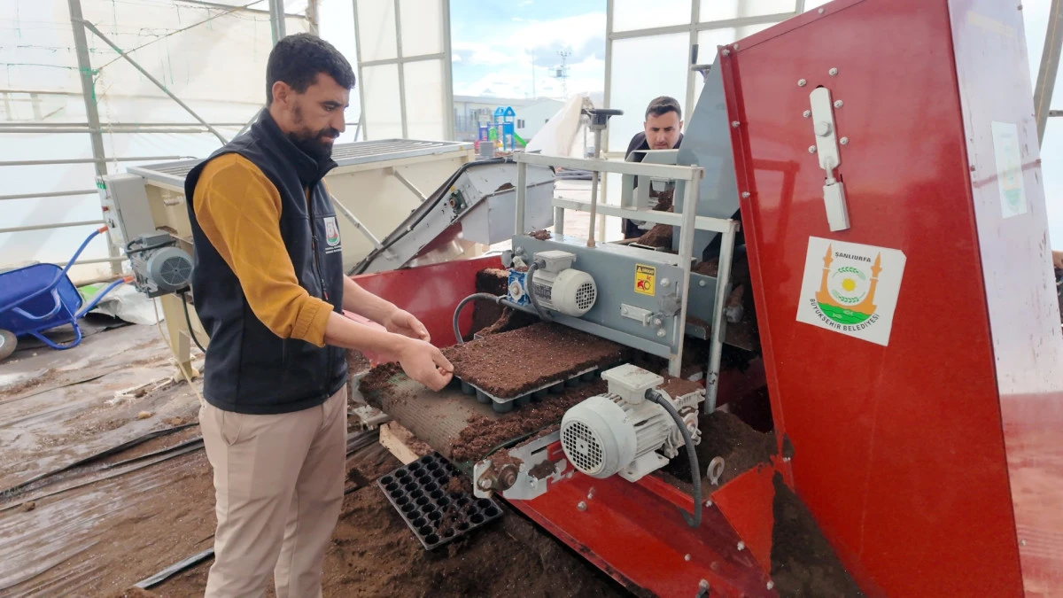 B&Uuml;Y&Uuml;KŞEHİR BELEDİYESİ 1 MİLYON FİDE &Uuml;RETİYOR