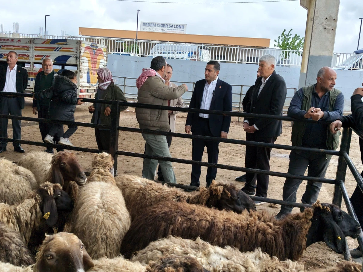 CHP Şanlıurfa İl Başkanı Ferhat Karadağ: &ldquo;Hayvan Pazarında Tablo Endişe Verici&rdquo;