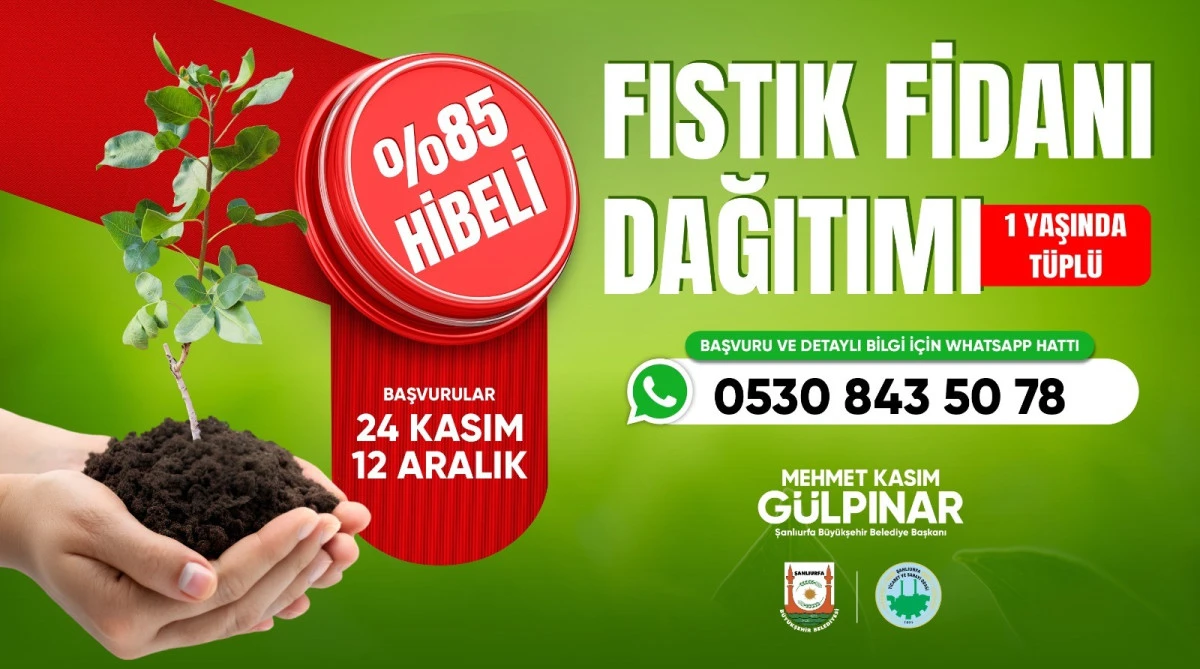 ÇİFTÇİYE %85 HİBELİ FISTIK FİDANI DESTEĞİ BAŞLADI