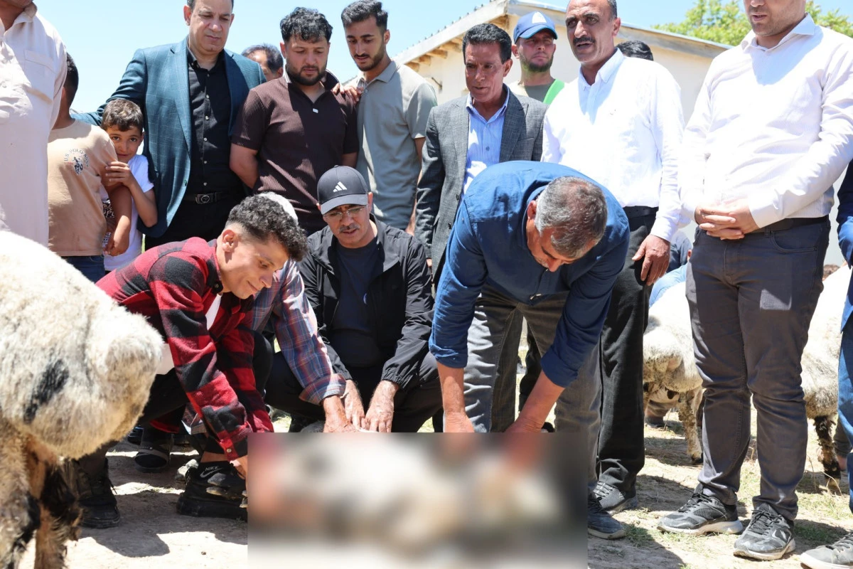 Eyy&uuml;biye Belediyesi Bayram Sevincini Uzaklara Ulaştırdı
