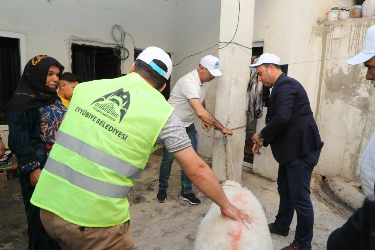 Eyyübiye Belediyesi’nden Kurban Bayramı’nda Anlamlı Destek: