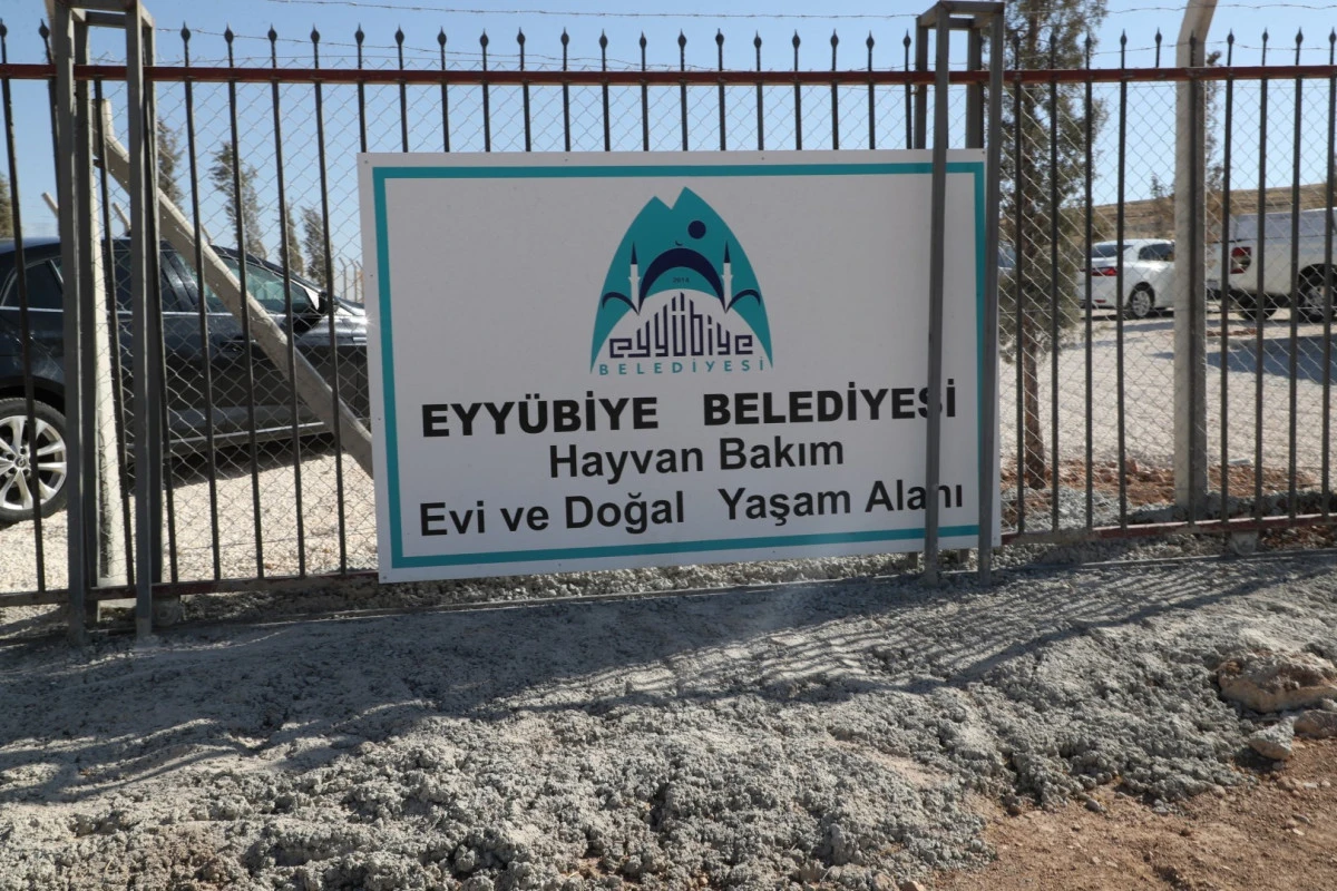 Eyyübiye’de Hayvan Bakımevi Hizmete Giriyor