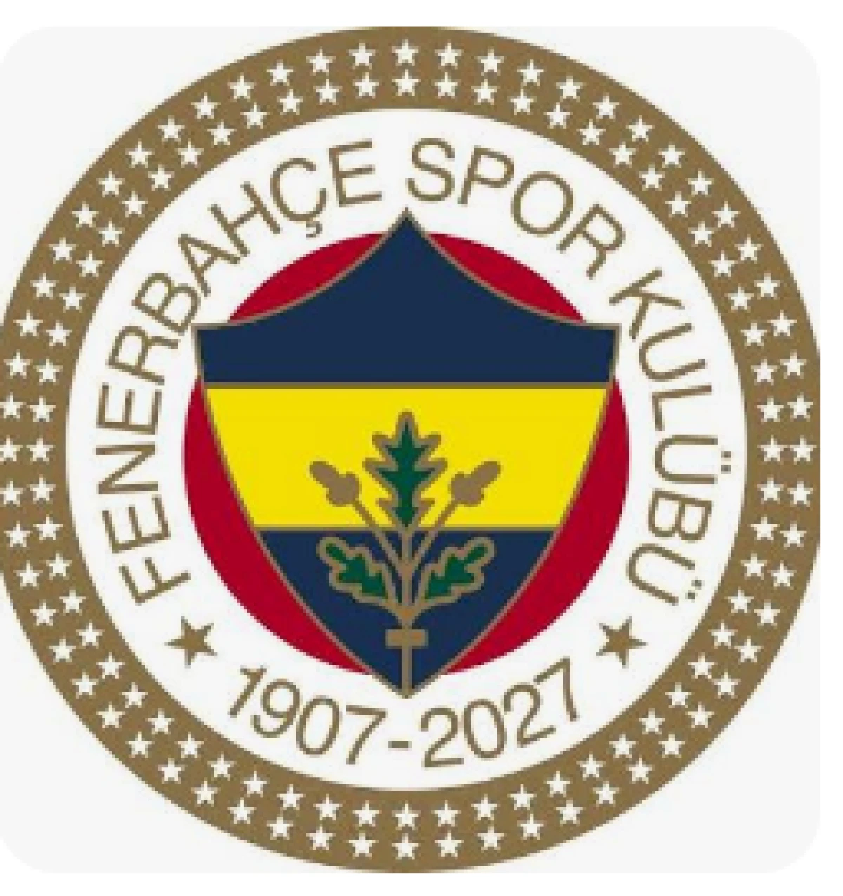 Fenerbah&ccedil;e Fransa"dan mutlu d&ouml;nd&uuml;
