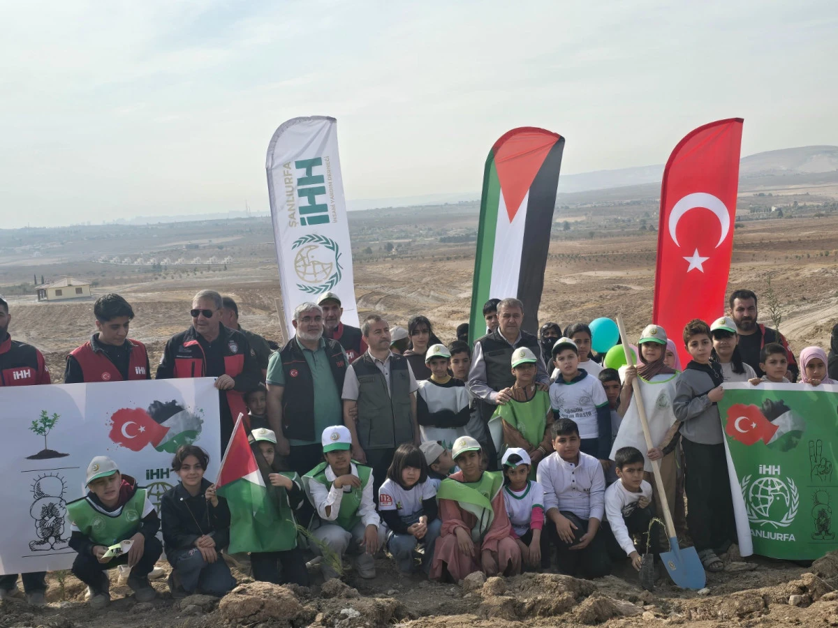 Gazze Hatıra Ormanı’nda 250 Yetim Çocuk Fidan Dikti