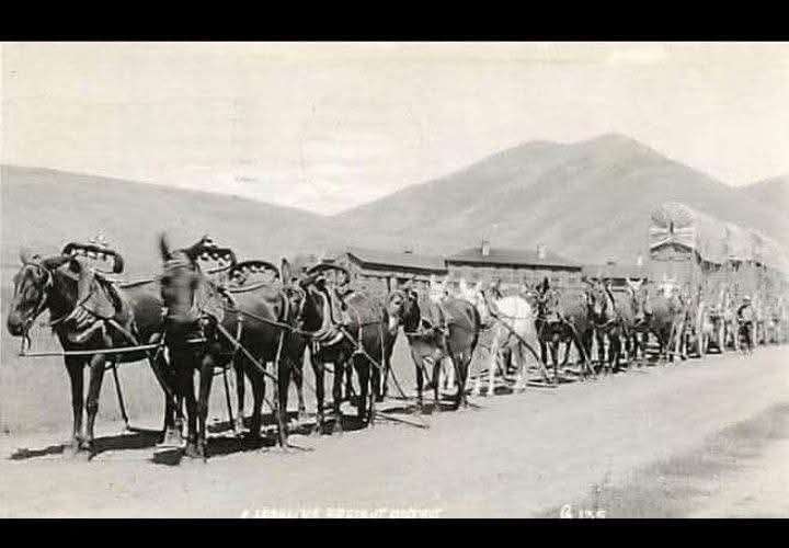 İSİMLERİN DOĞUŞU