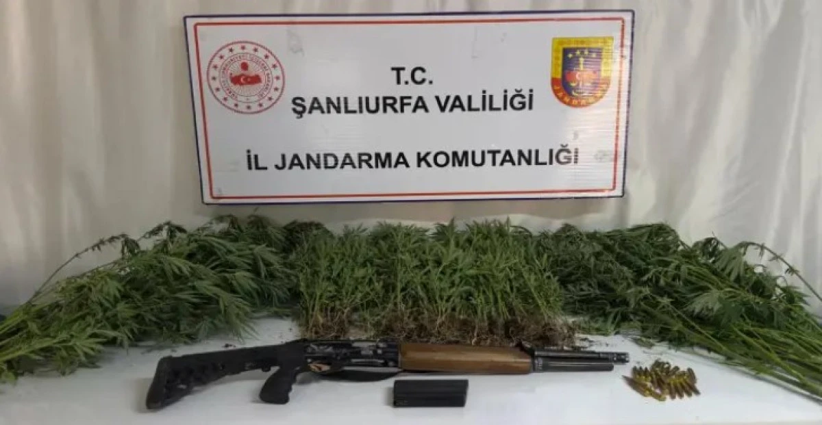 JANDARMADAN UYUŞTURUCU OPERASYON: 6 GÖZALTI