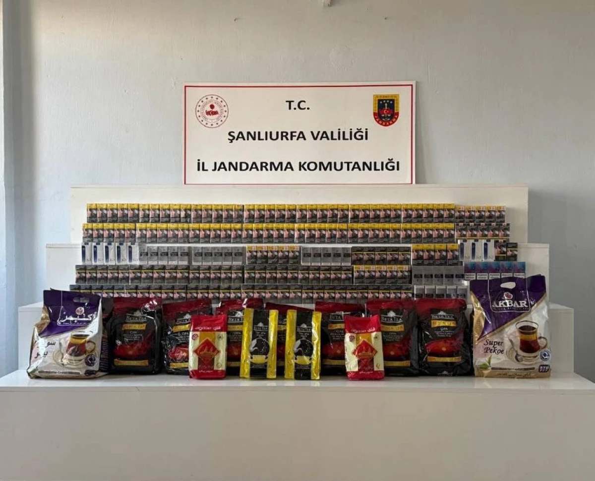 Ka&ccedil;ak T&uuml;t&uuml;n ve &Ccedil;ay Operasyonu: 11 Ş&uuml;pheli Hakkında İşlem