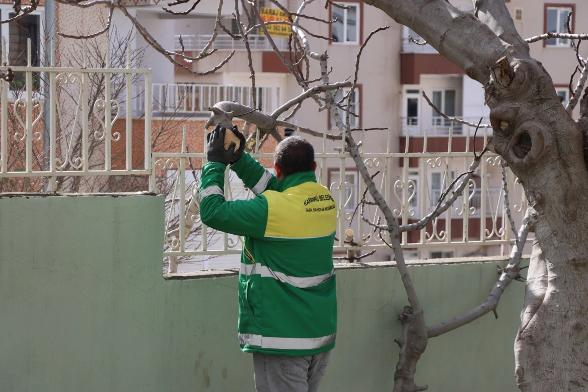 KARAK&Ouml;PR&Uuml;&rsquo;DE PARKLARDA YAZ HAZIRLIĞI