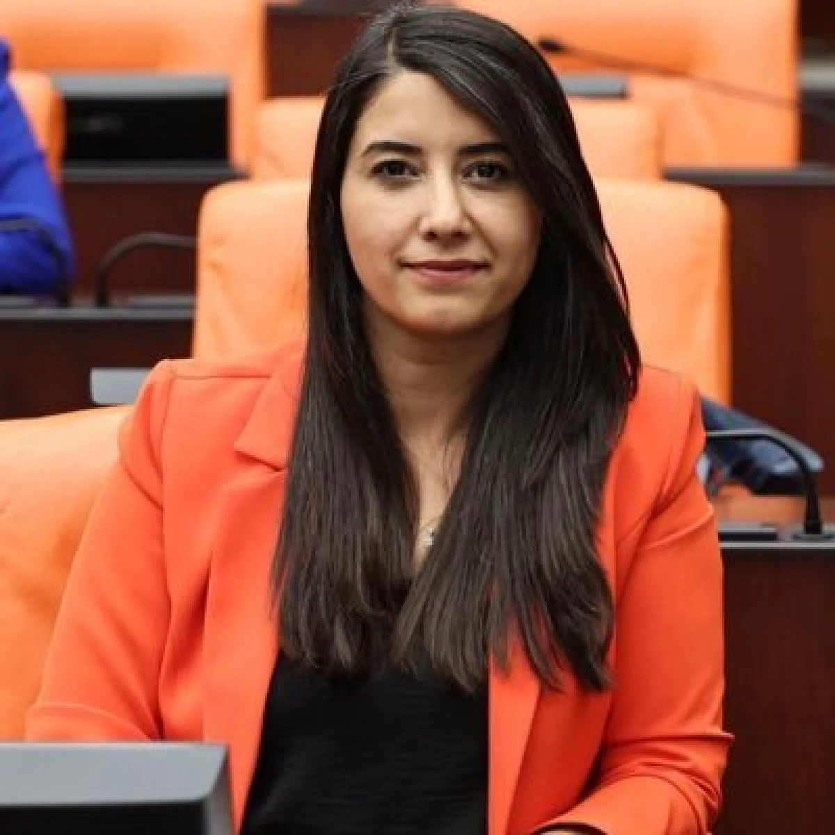 Milletvekili Ayan&rsquo;dan Hızlı Tren Tepkisi: &ldquo;Şanlıurfa Neden Dışarıda?&rdquo;