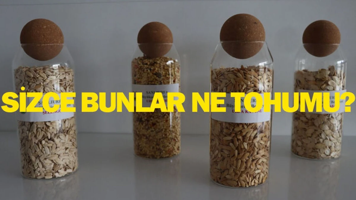 Şanlıurfa B&uuml;y&uuml;kşehir Belediyesi dağıtacak