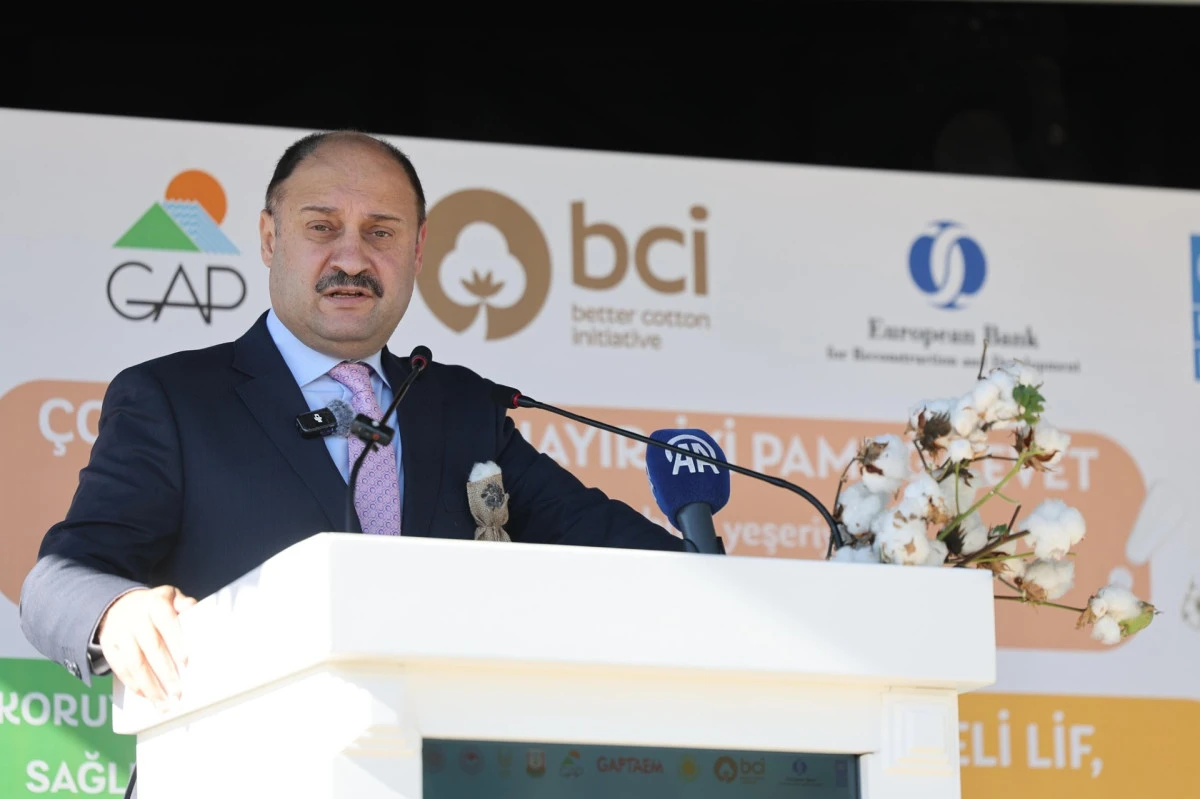 ŞANLIURFA’DA 3. İYİ PAMUK TARLA GÜNÜ ETKİNLİĞİ DÜZENLENDİ