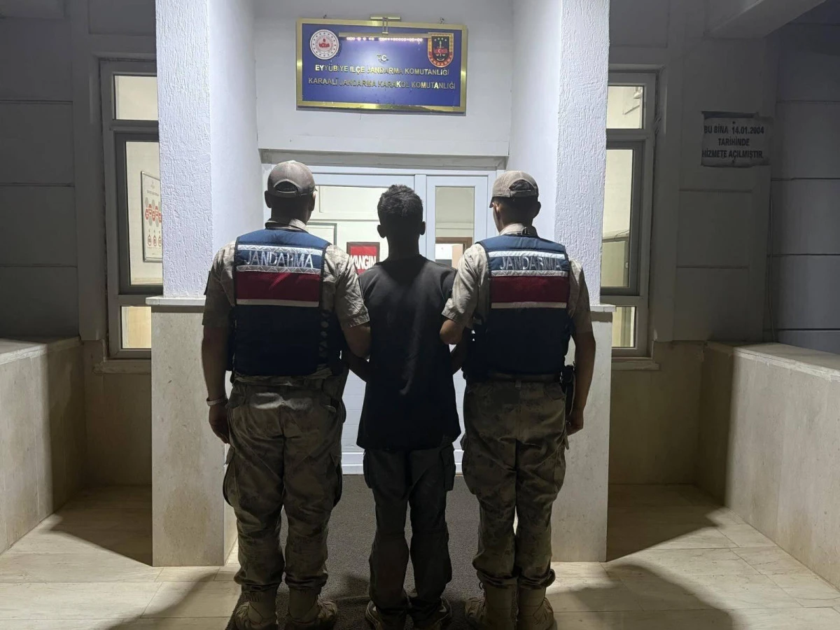 Şanlıurfa&rsquo;da G&ouml;&ccedil;men Ka&ccedil;ak&ccedil;ılığı Operasyonu: 20 Organizat&ouml;re İşlem