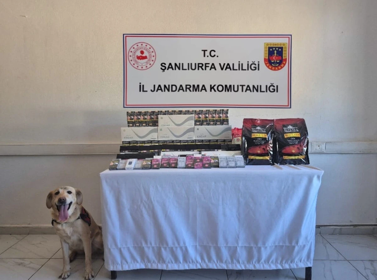 Şanlıurfa’da Tütün ve Alkol Kaçakçılığına Darbe