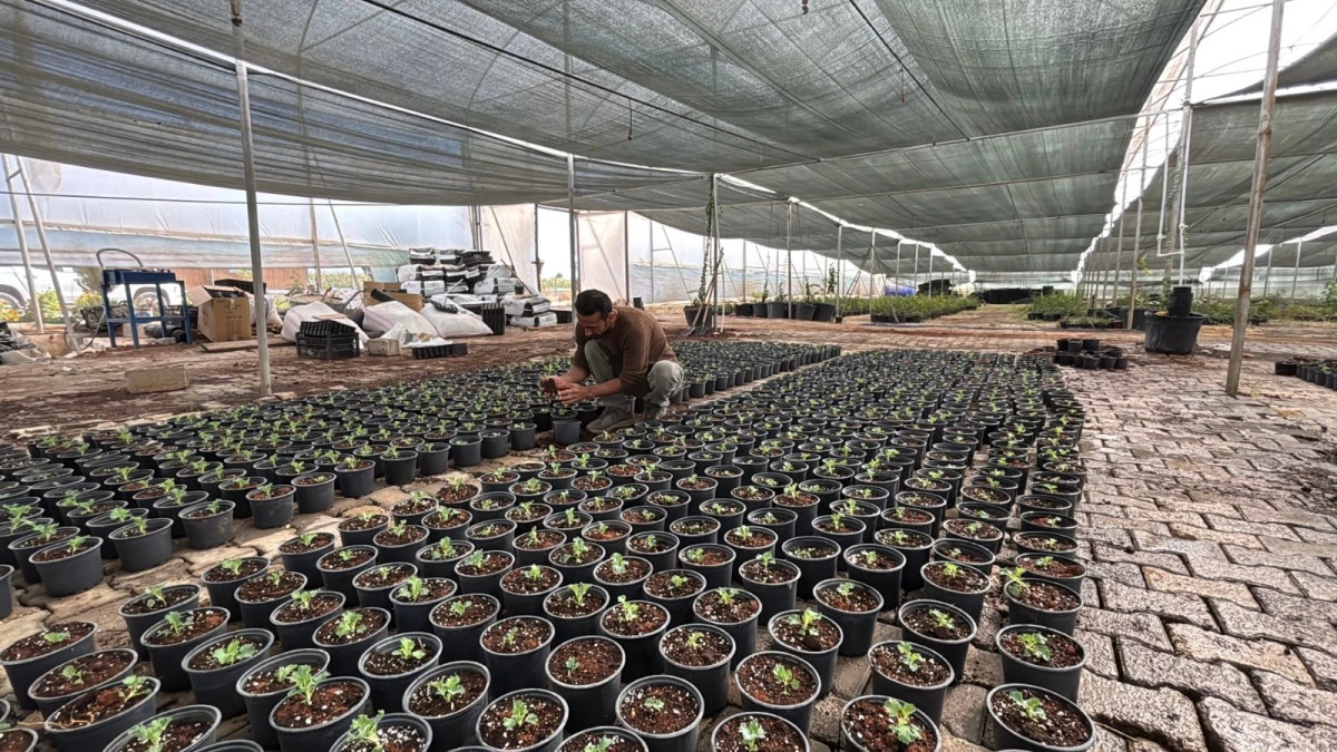 Sera Kent Üretiyor Eyyübiye Kazanıyor