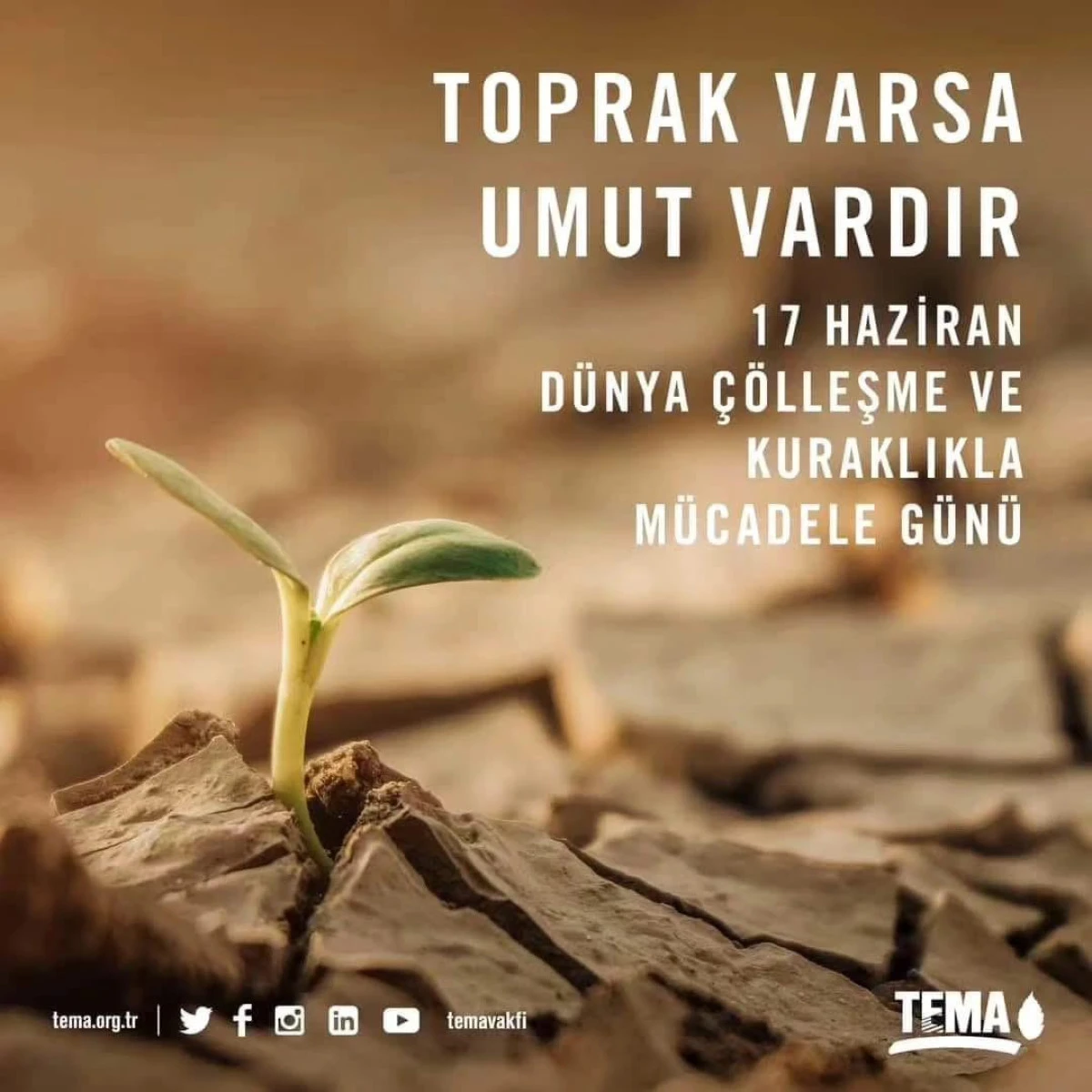 Toprağı Koruma Mücadelesi: Çölleşme ve Kuraklığa Karşı Acil Eylem Çağrısı