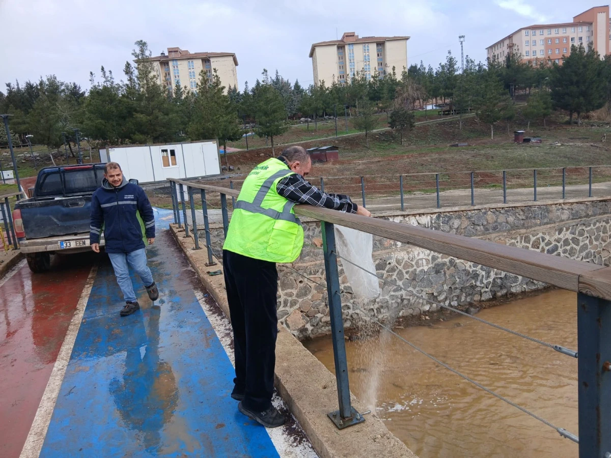 Viranşehir&rsquo;de Larva ile M&uuml;cadele Başladı: Hedef Daha Sağlıklı Bir Yaz