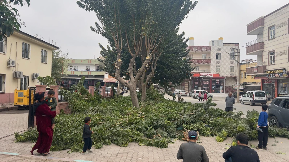 YEMYEŞİL EYYÜBİYE İÇİN ÇALIŞMALAR SÜRÜYOR