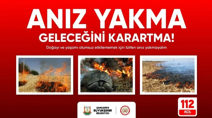 dedaş